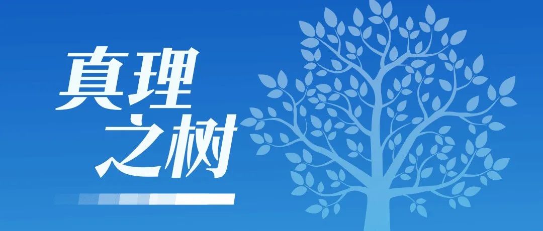 学习二十大报告，读懂这些词语的深意