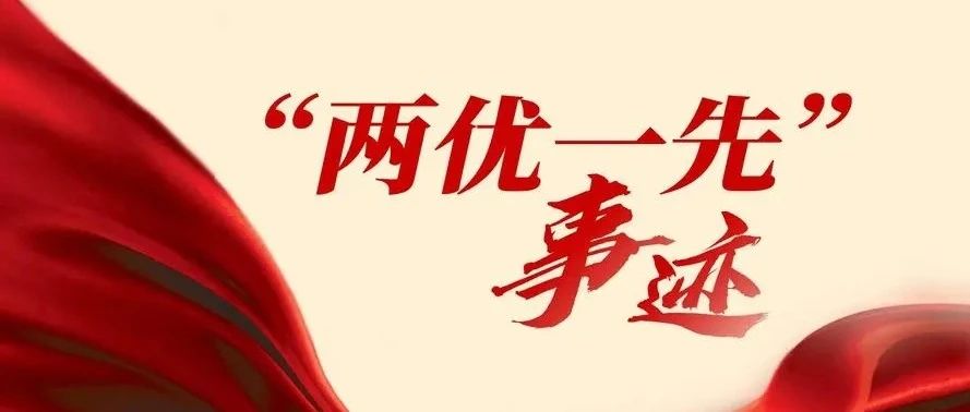 树先进典型 聚奋进力量丨集团公司荣获省国资国企系统“两优一先”典型事迹展示（一）