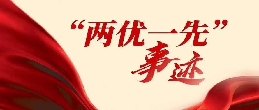 树先进典型 聚奋进力量丨集团公司荣获省国资国企系统“两优一先”典型事迹展示（二）