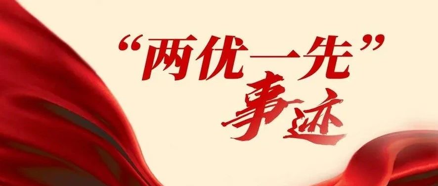 树先进典型 聚奋进力量丨集团公司荣获省国资国企系统“两优一先”典型事迹展示（三）