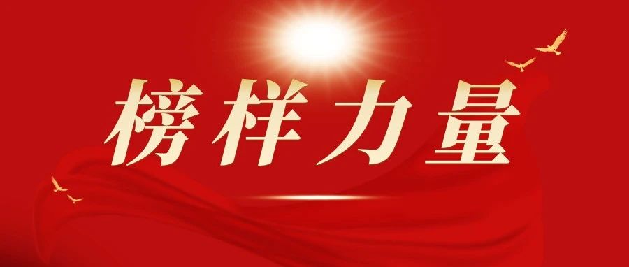 树标杆 强示范 助力“两化”建设再上新台阶丨集团公司党支部“两化”建设示范单位工作情况展示