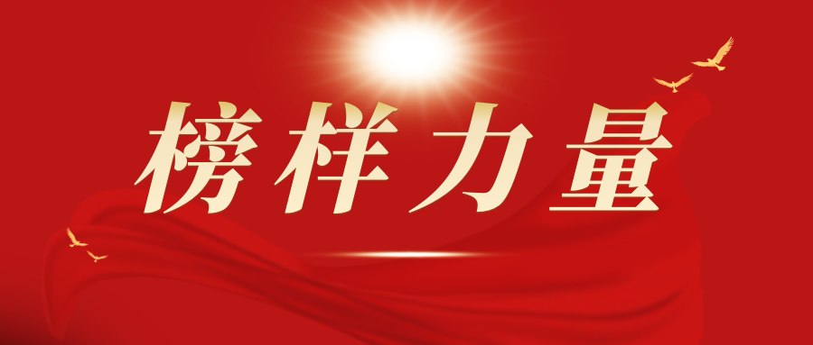 树标杆 强示范 助力“两化”建设再上新台阶丨集团公司党支部“两化”建设示范单位工作情况展示（五）