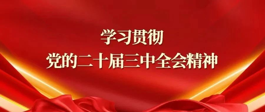 学思想 抓落实 谋改革 促发展——集团系统迅速掀起学习宣传贯彻党的二十届三中全会精神热潮（一）